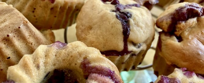 muffins-myrtilles