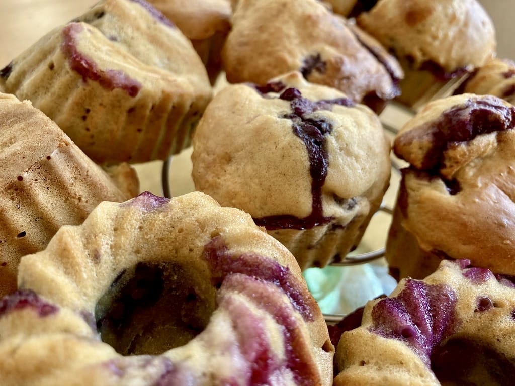 muffins-myrtilles